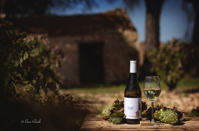 La Casilla de Adrián Macabeo La Casilla de Adrián Macabeo