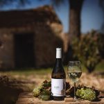 Vino Denominación de Origen Manchuela: Bodega y Viñedos Moratalla