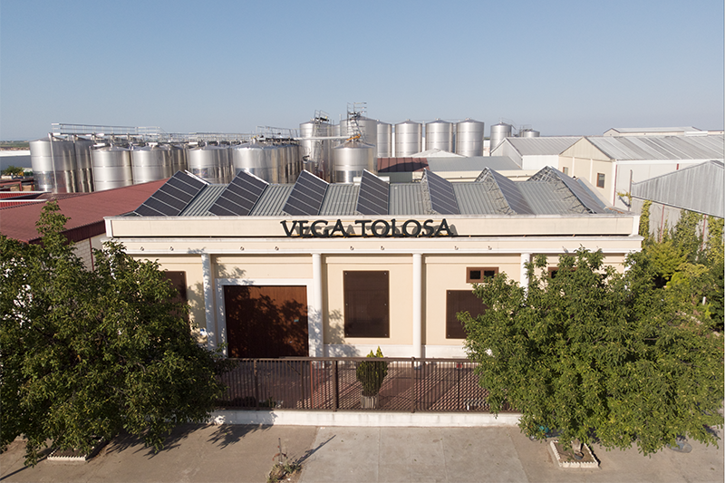 Vino Denominación de Origen Manchuela: Pagos de Familia Vega Tolosa Vino Denominación de Origen Manchuela: Pagos de Familia Vega Tolosa