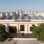 Vino Denominación de Origen Manchuela: Pagos de Familia Vega Tolosa