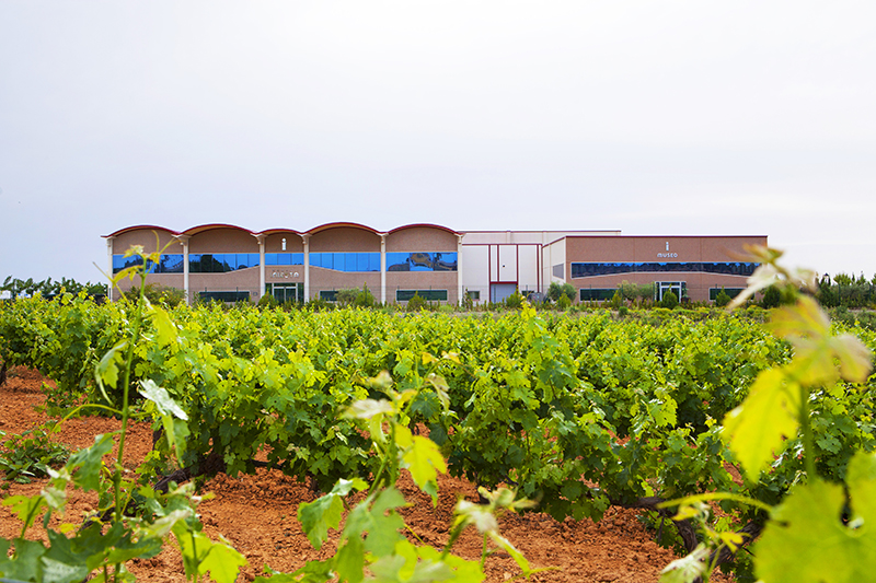 Vino Denominación de Origen Manchuela: Bodega Iniesta Vino Denominación de Origen Manchuela: Bodega Iniesta