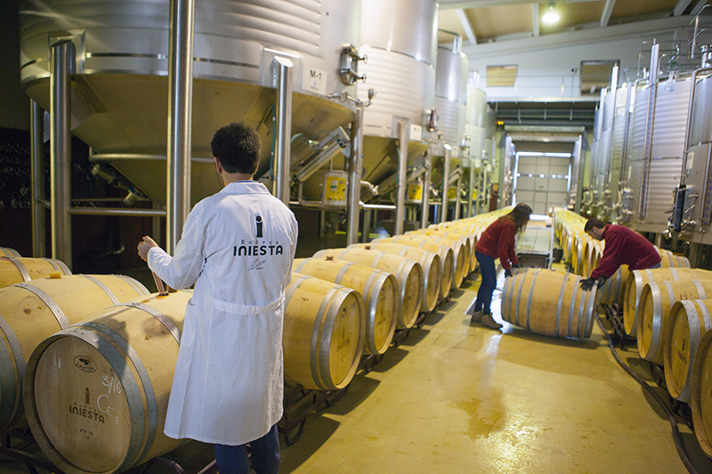 Vino Denominación de Origen Manchuela: Bodega Iniesta