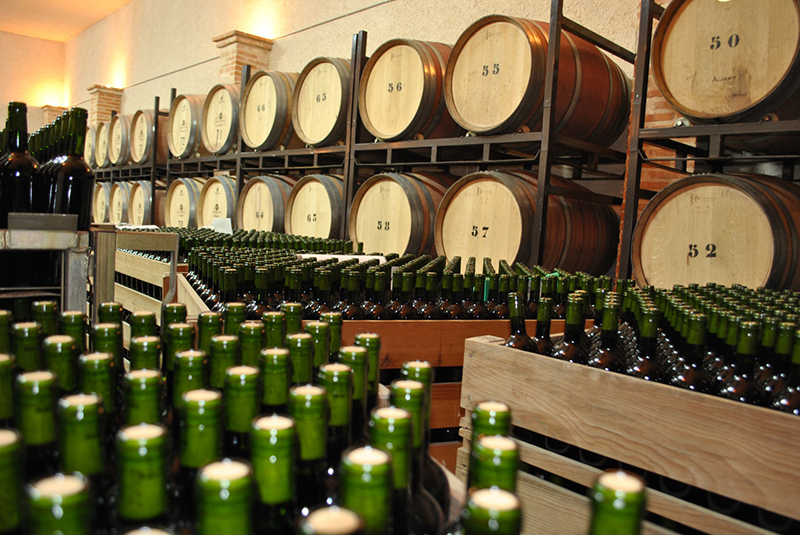 Vino Denominación de Origen Manchuela: Cooperativa Virgen de las Nieves