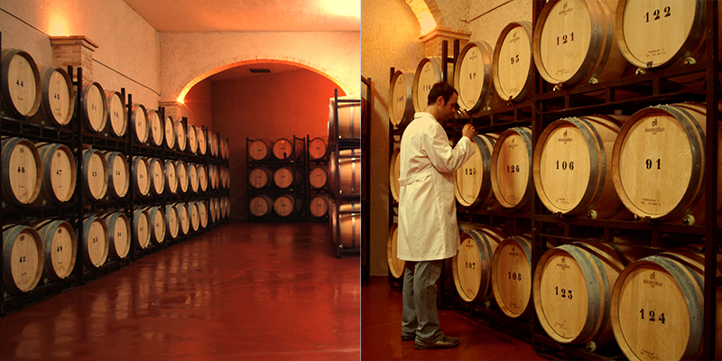 Vino Denominación de Origen Manchuela: Cooperativa Virgen de las Nieves Vino Denominación de Origen Manchuela: Cooperativa Virgen de las Nieves