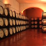 Vino Denominación de Origen Manchuela: Cooperativa Virgen de las Nieves