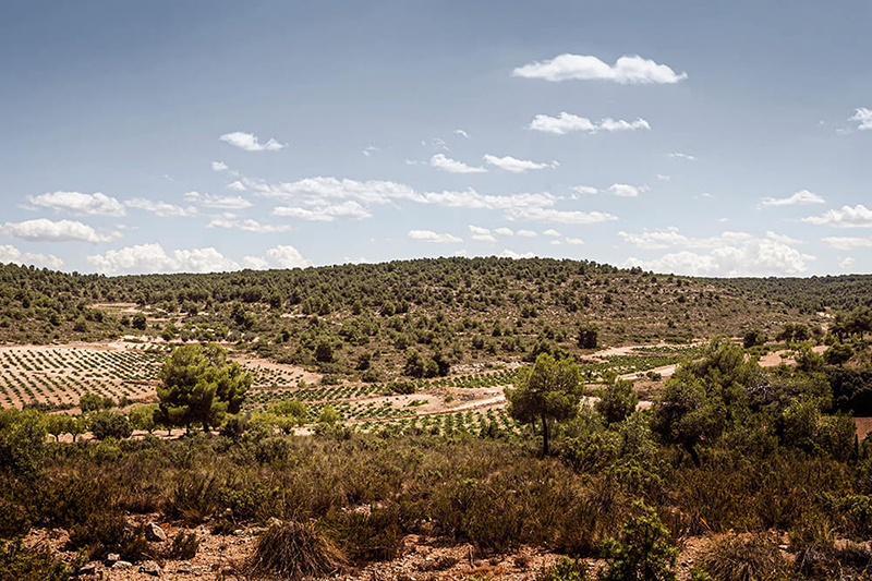 Cien y Pico se ubica en Mahora, provincia de Albacete Cien y Pico se ubica en Mahora, provincia de Albacete