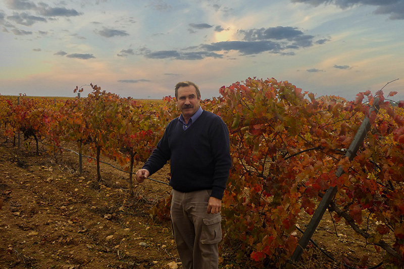Dionisio es el responsable de viticultura Dionisio es el responsable de viticultura